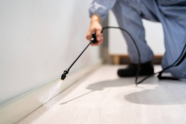 Rodent Entry Point Assessment in East Whittier