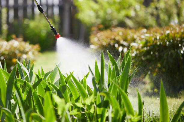Tamper-Resistant Bait Stations for Rodents in East Whittier
