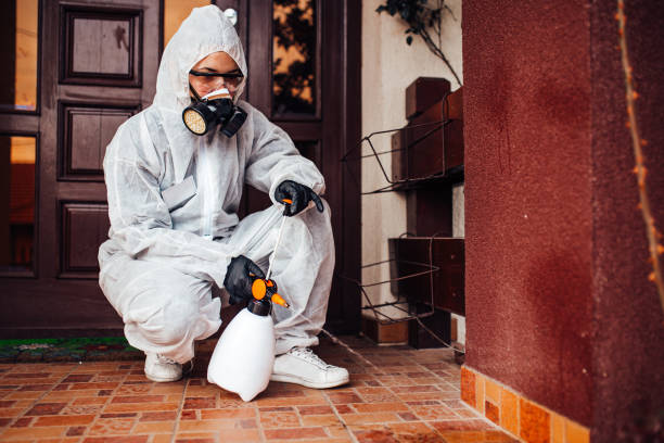 Attic and Crawl Space Rodent Treatment in East Whittier